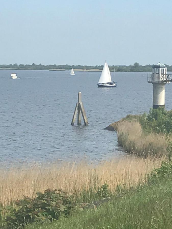 De Lauwersmeer Vogel Mit Eingezaeuntem Garten Anjum Extérieur photo